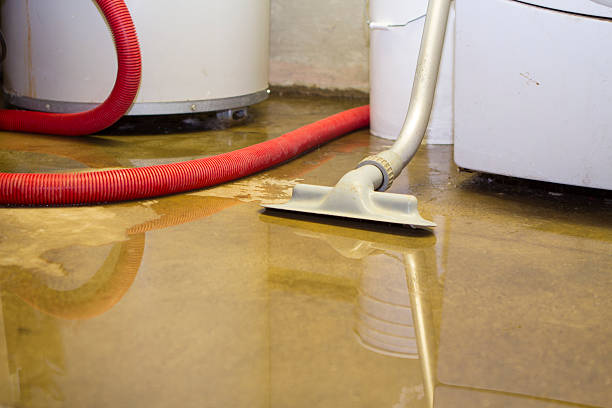 Best Emergency water damage restoration  in Gray, LA