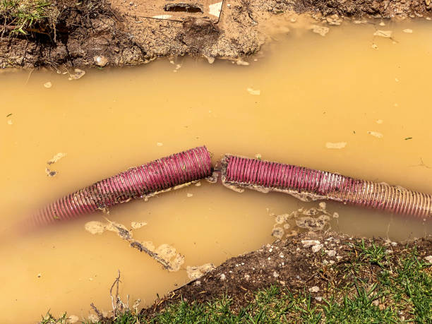 Sewage cleanup and water damage restoration in Gray, LA