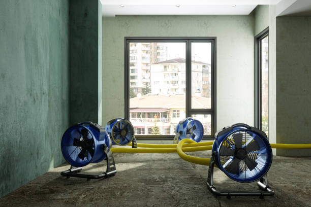 Best Water damage mitigation services  in Gray, LA